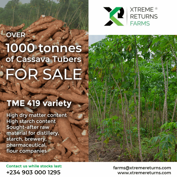 Xtreme-Farms- Tonnes of cassava tubers for sale