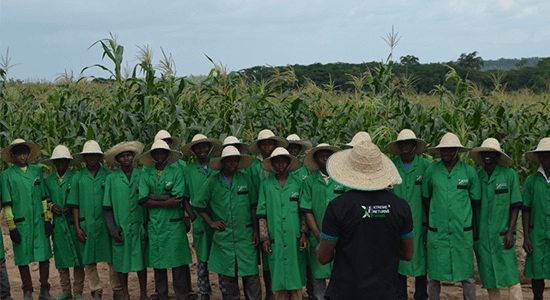 Xtreme Returns farm workers