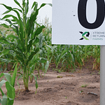 Factors To Consider When Buying Farmland In Nigeria