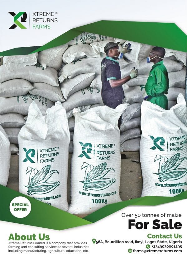 Xtreme-Returns-Maize-for-sale